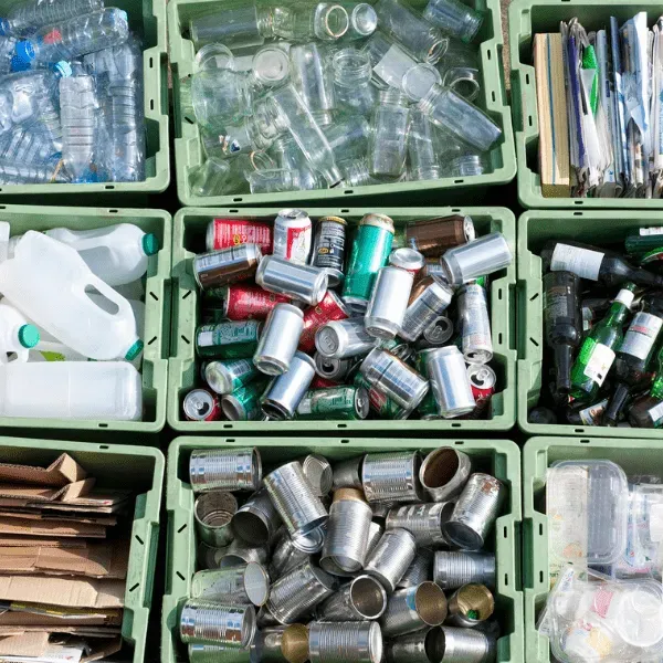 Pourquoi et comment s’engager dans une démarche écologique ?